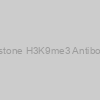 Histone H3K9me3 Antibody